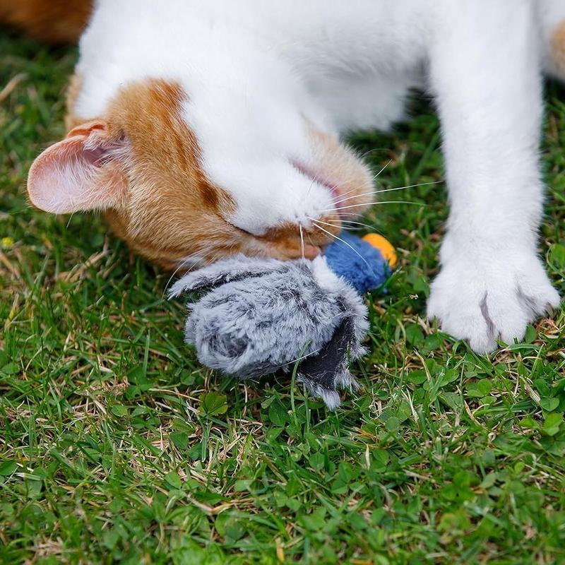 Dudley Duck Cat Toys with Fastest Delivery in UK - Perfect for Your Feline Friend 4