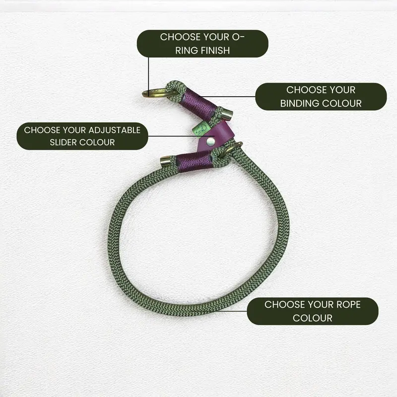 Adjustable Slip Collar – Customisable Slip Collar for Dogs 1