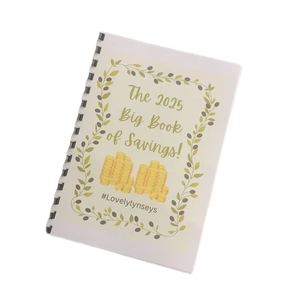 The 2025 Colouring Book of Savings - Budget Planner for efficient saving