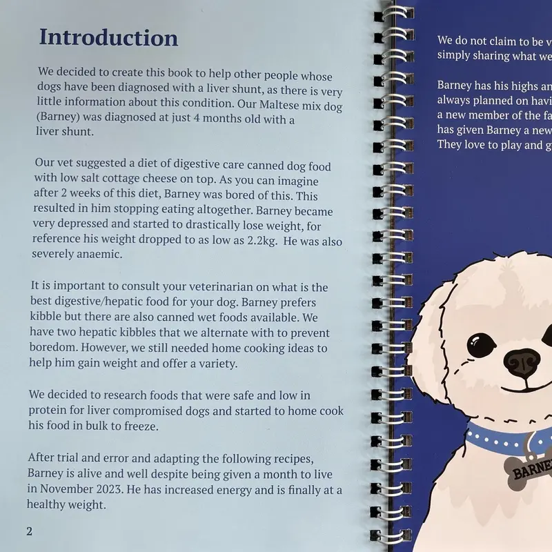 Dog Recipe Book: Surviving a Liver Shunt - low protein dog recipe book - digestive care for dogs 6