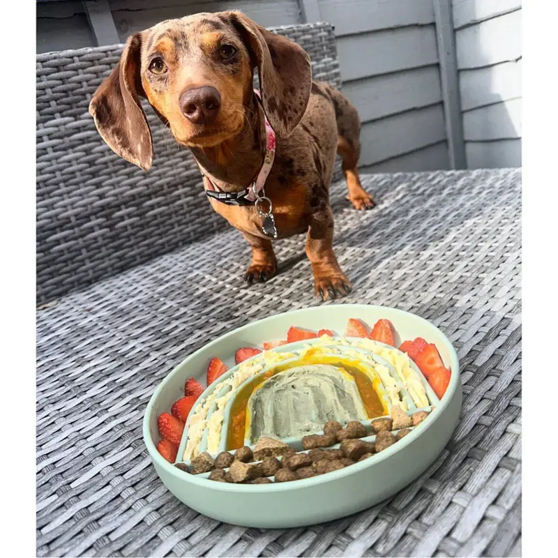 Buddy & Lola | Pumpkin Powder for Dogs | Helps with Dog Constipation & Diarrhoea | Canned Pumpkin Puree Alternative | Bursting with Dog Vitamins & Essential Nutrients | Dog Gut Health Product 5