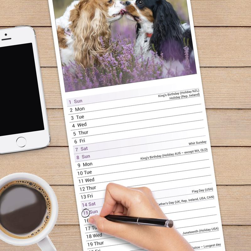 Cavalier King Charles Spaniel Calendar 2025 Slimline 4