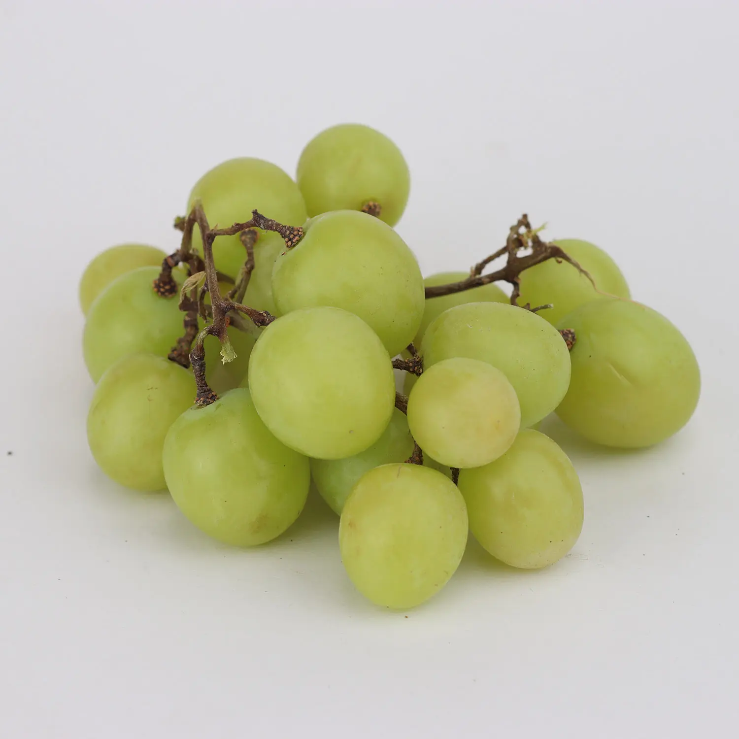 Grape Green x 500g