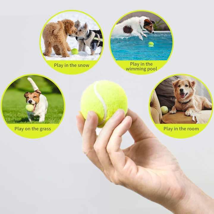 Product Introduction of 12x Tennis Balls Good Quality Sports Outdoor Fun Cricket Beach Dog Ball Game 9