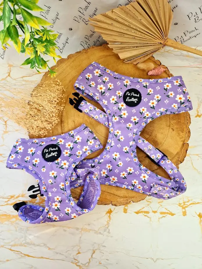 Lucky Little Lavender Daisies Purple Puppy or Dog Christmas Harness