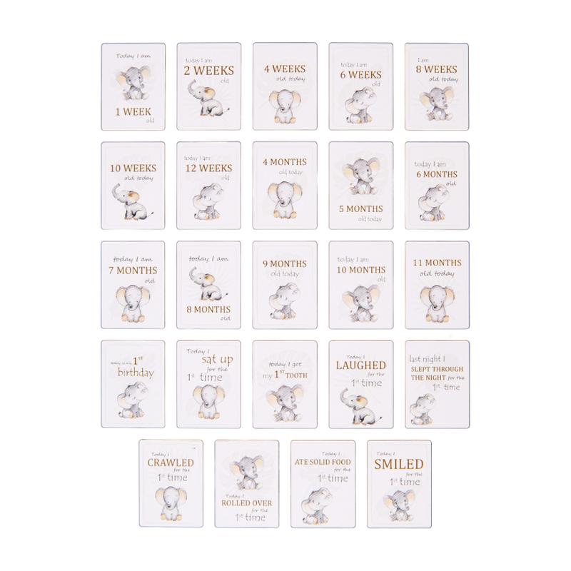 Cute Unisex Baby Elephant Grey Quirky and Fun Set of 24 Milestone Cards 4