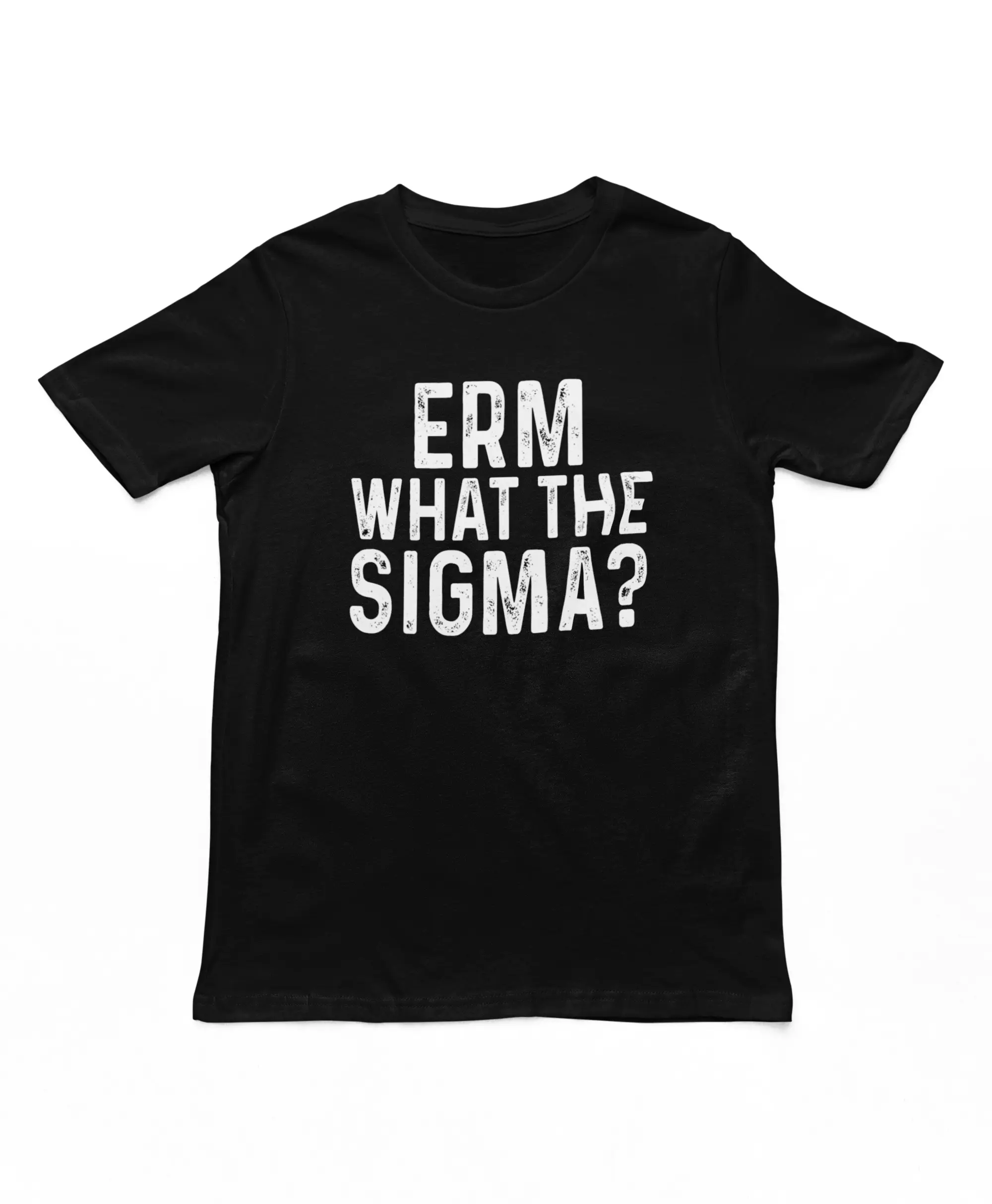 Erm What The Sigma | Funny Unisex Mens Ladies Printed T-Shirt Tees Top Meme Tshirt Shortsleeve Casual
