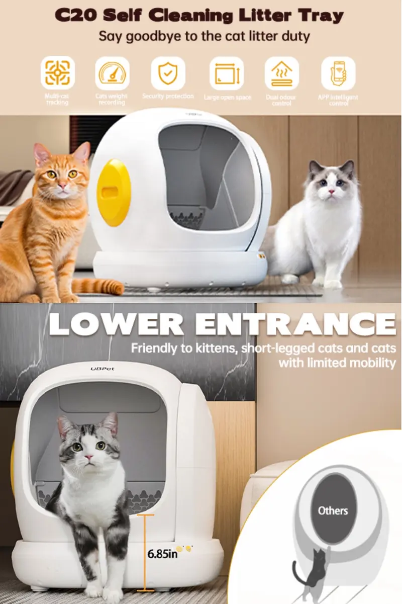 How to Teach My Cat to Use the Litter Box: Easy Steps That Work