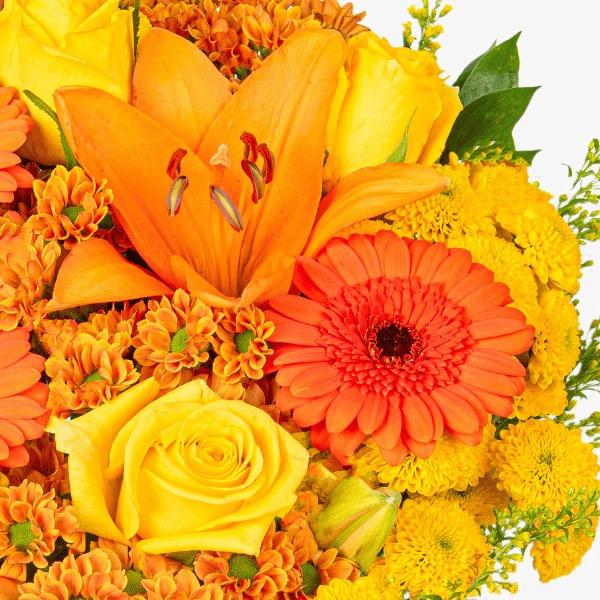 Celebration Delight - Bouquet of Fresh Flowers - Birthday Flowers - Next Day Free Shipping - Flowers for her - Flowers 2024 - Gifts for him - Flowers Gift - Fresh Cut Flowers - Gifts for Girlfriend - Prestige Flowers 5