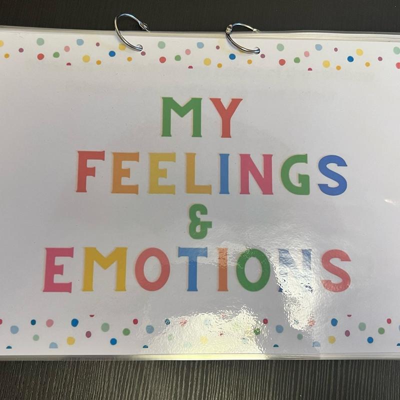 Feelings and emotions work book 1