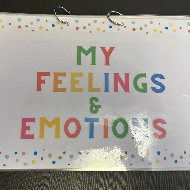 Feelings and emotions work book 1