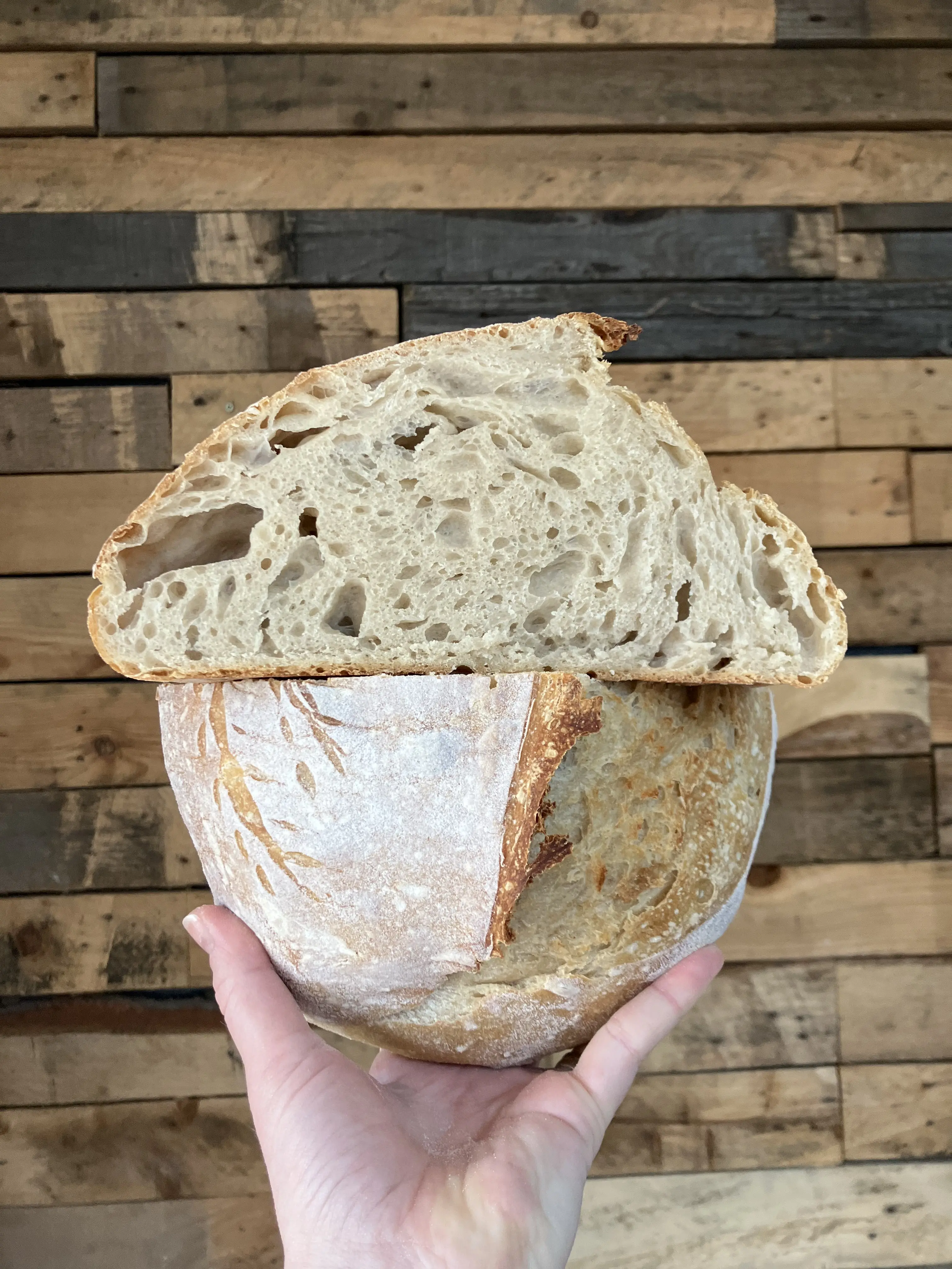 WHITE Fresh Sourdough Starter