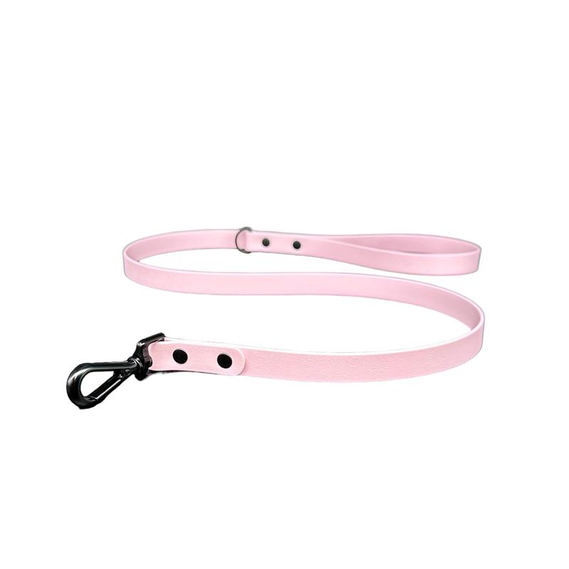 Biothane Dog Lead | Strong Webbing with Waterproof Rubber Coating | Sizes from S to L | All colours available 8