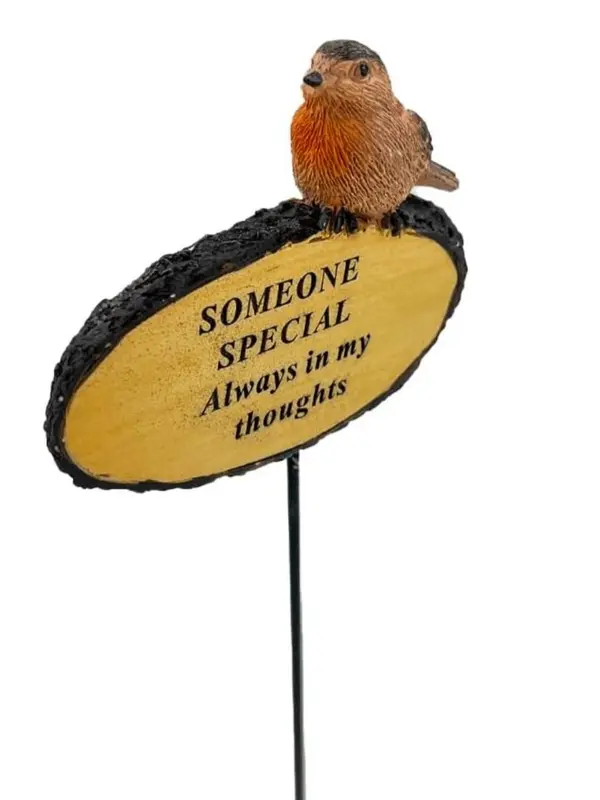 Someone Special Always In My Thoughts Robin Bird Memorial Tribute Stick Graveside Flower Garden Plaque 2