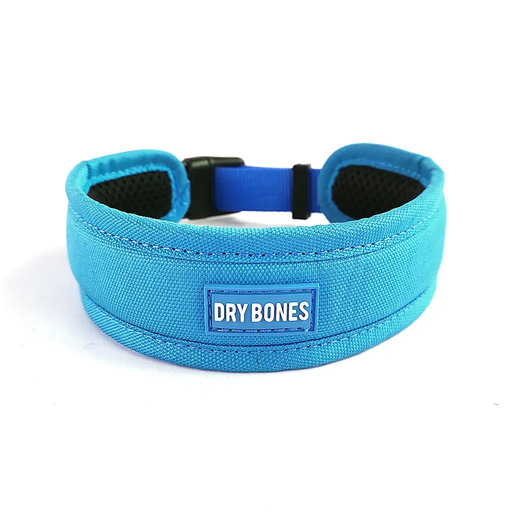 DRYBONES - DOG - ACCESSORIES - TURQUOISE COLLAR