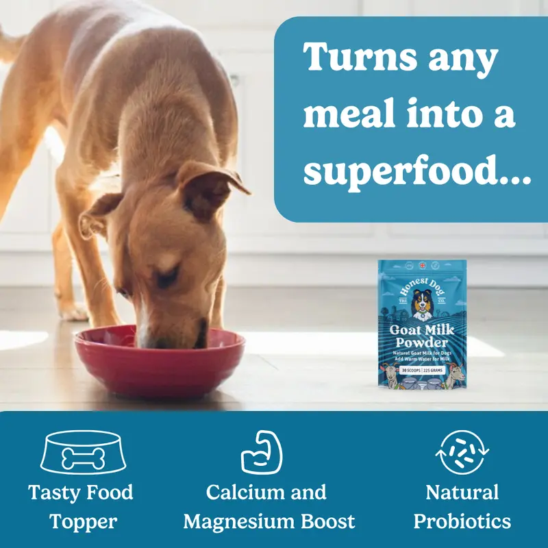 Goats Milk Powder for Dogs (225 Grams, 30 servings) - Rich in Protein and Calcium- For Puppies and Adults - Powdered Goats Milk - Made in the UK 2