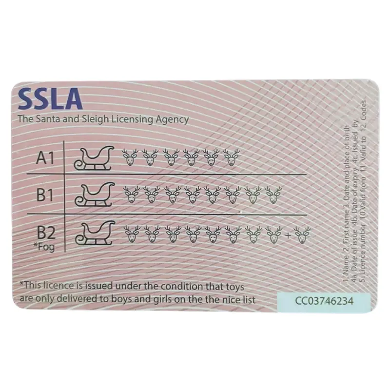 Santa Claus International Driving/Flying Licence Novelty Gift for Kids - Perfect Christmas Present 3