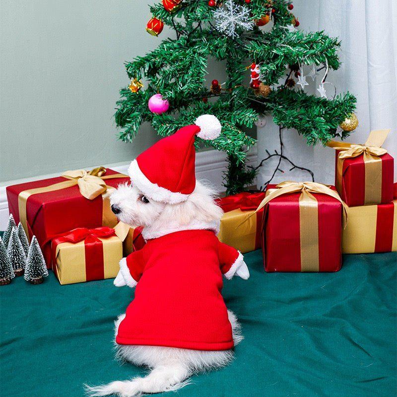 New Christmas Santa Pet Costume 4