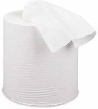 150M Silverstar Toros Pure White 2-Ply Centrefeed Rolls Pack of 6 - 150m Each Rolls for Cleaning & Hygiene - Wipes, Toilet 3