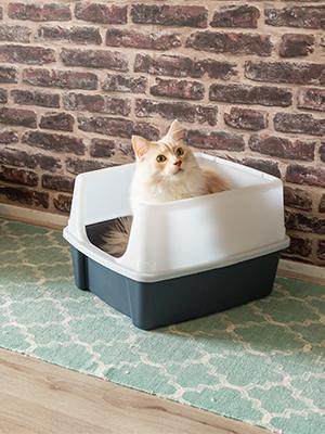 Product Introduction of Cat Litter Tray with Scoop – Easy to Clean, Detachable Spill-Preventing Walls, BPA-Free Cat Litter Box in Grey, Size CLH-12, Suitable for Kittens, Adult Cats, and Rabbits – Modern Open Top Design 3