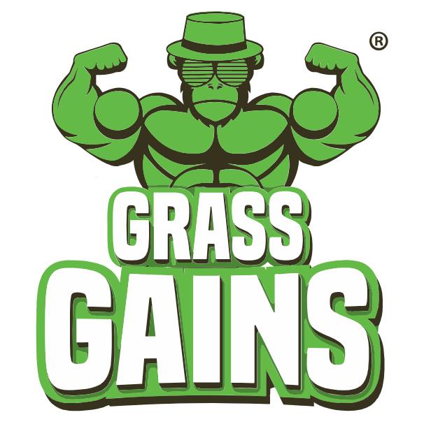 Grass Gains Super Seed with Headstart Gold Coating 1kg 3