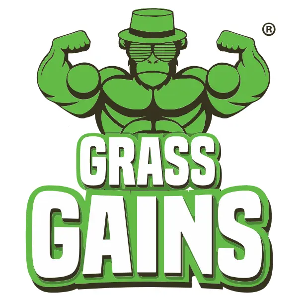 Grass Gains Super Seed with Headstart Gold Coating 1kg 3