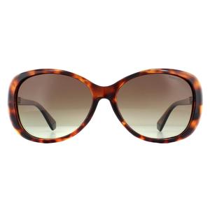 Polaroid Sunglasses PLD 4097/S 086 LA Havana Brown Gradient Polarized - Summer Outfits - Eyewear - Designer Sunglasses - Discounted Sunglasses for Female - Womenswear - Womens Sunglasses - Shades