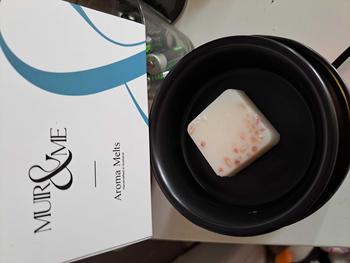 Product Review of Sea Salt & Sage Wax Melts from H**n S**t b** J**e 1