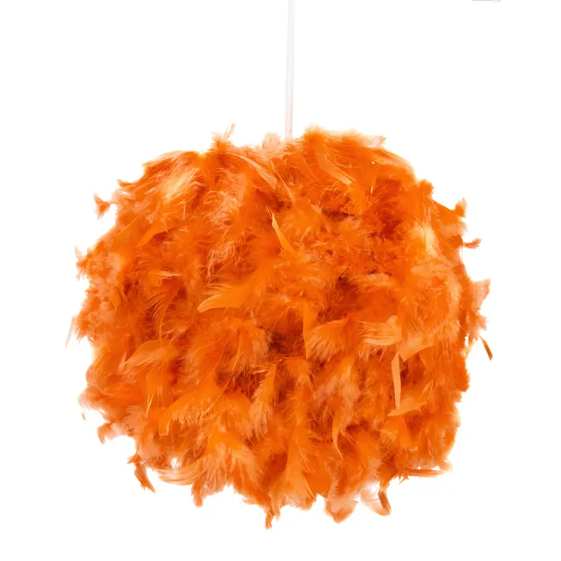 Eye-Catching and Modern Small Orange Feather Decorated Pendant Lighting Shade 0