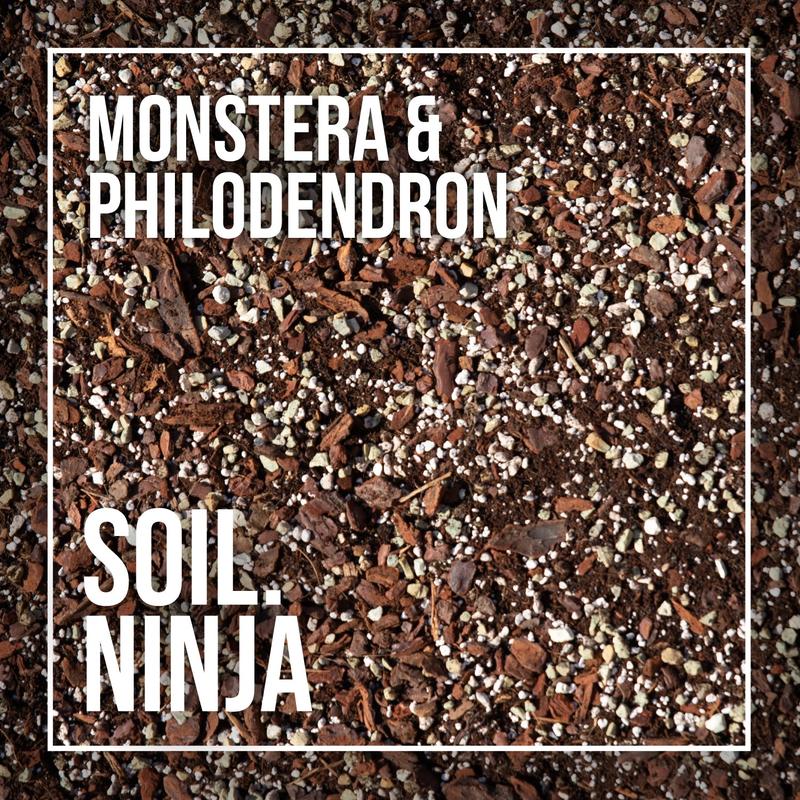 Monstera & Philodendron Soil Mix 1