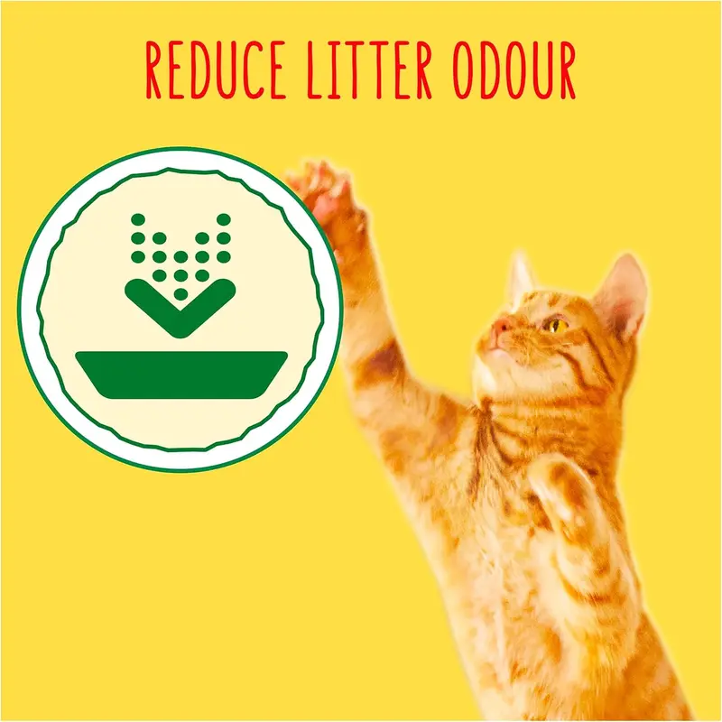 GO-CAT Indoor Chicken Dry Cat Food (750g x 1)  Pack 1 for Adult Cats - Complete and Balanced Meal 1