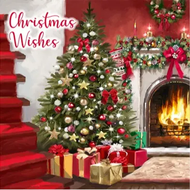 Christmas Cards 12 Pack Santa Cards Snow Scene Luxury Traditional Christmas cards 2 Design 4