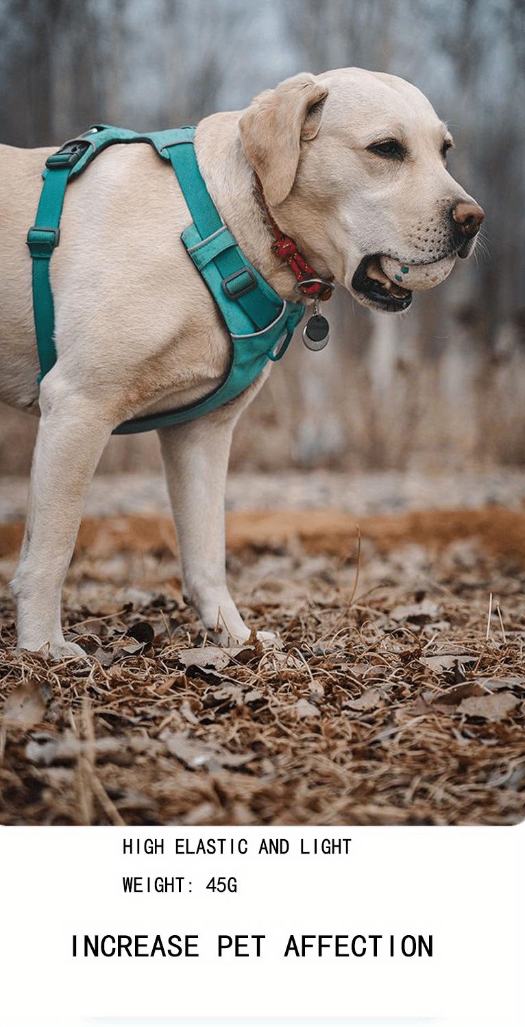 Product Introduction of Dog Ball Toys For Aggressive Chewers - Durable And Interactive Pet Balls For Endless Fun And Exercise 6