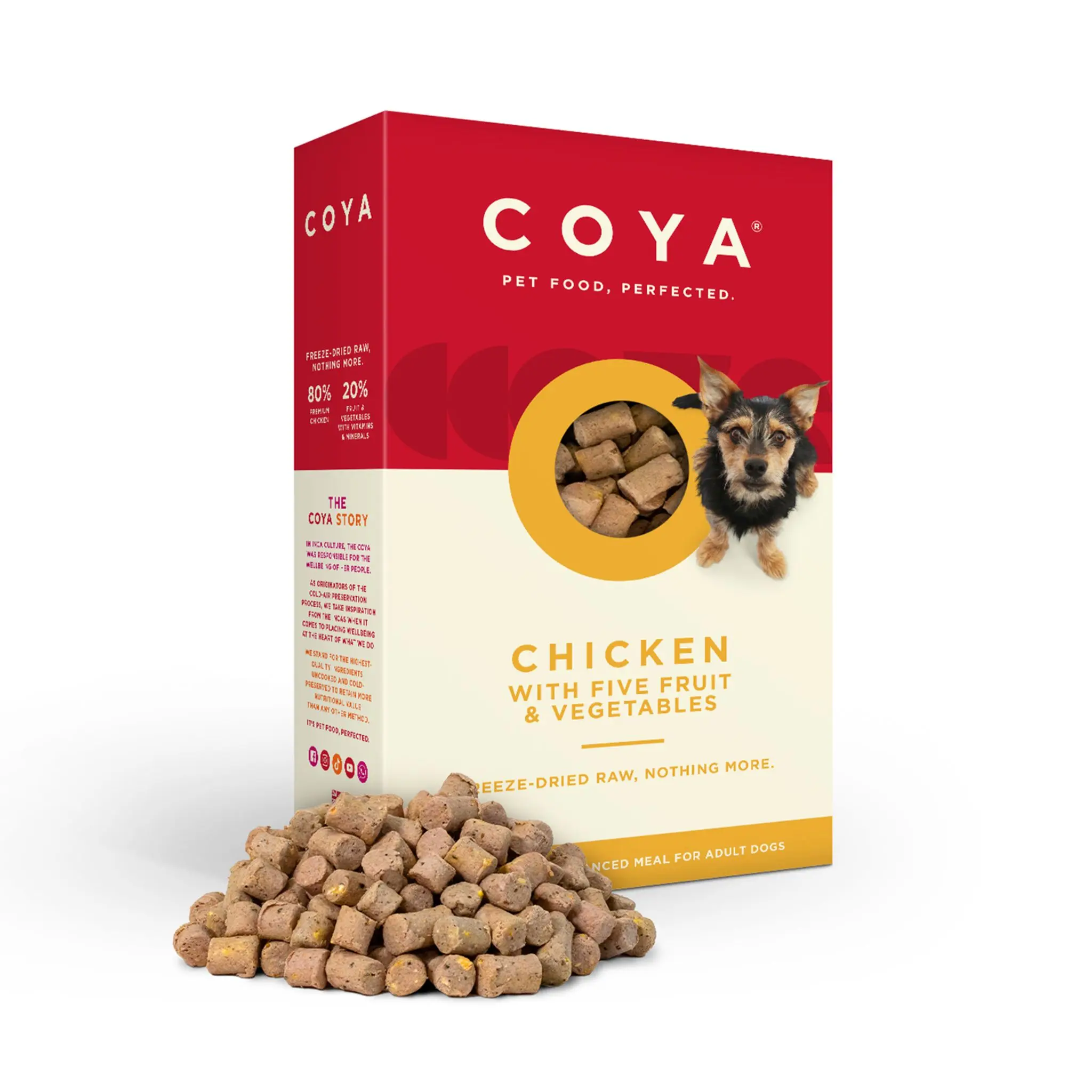 COYA Chicken Freeze-Dried Raw Main Meal (150g)