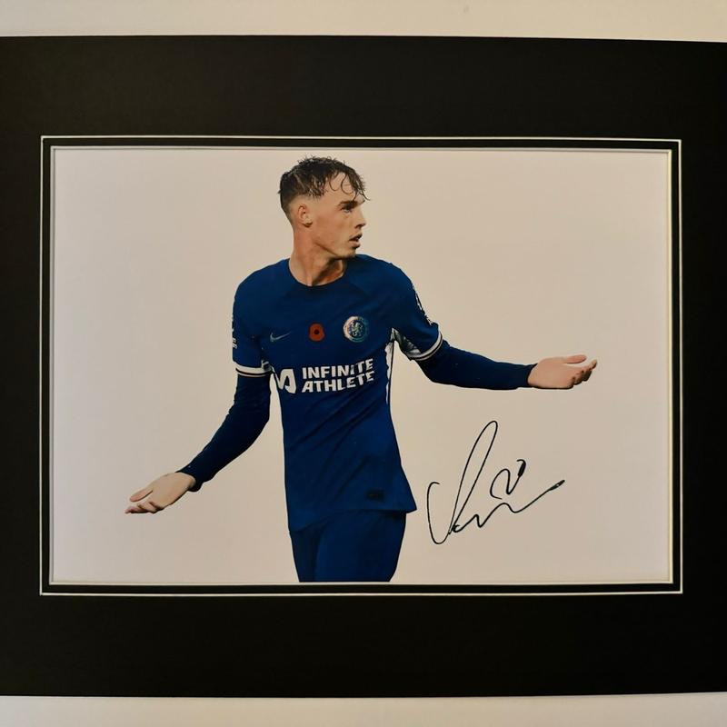 Cole Palmer Photo Mount, 16x12in Mount with Pre-Printed Signature and Text Box, Mounted in Aqadia High Quality White Core Mountboard - Frames, Decor 0