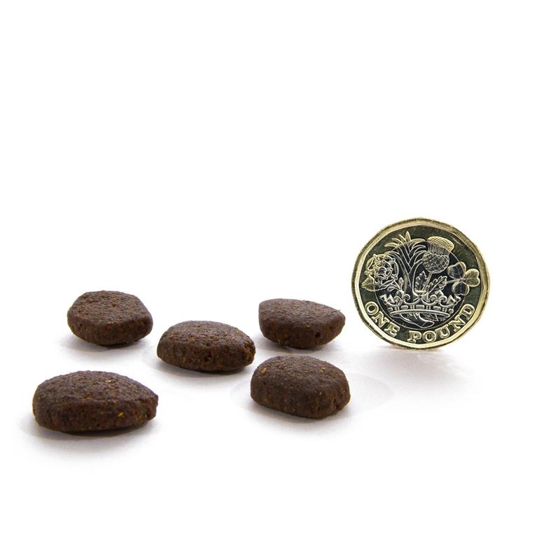 Canagan Scottish Salmon Grain Free Dry Dog Food for Puppies and Adults 2kg 4