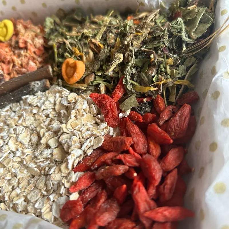 Guinea pig treat box 2
