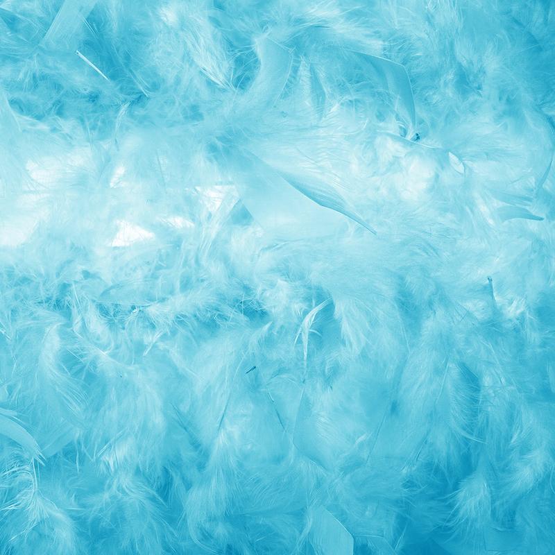 Eye-Catching and Modern Small Teal Feather Decorated Pendant Lighting Shade 1