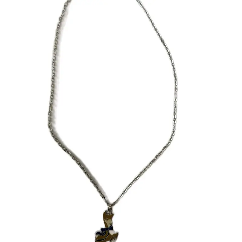 Stainless Steel Necklacde for Women - Fashion Accessory