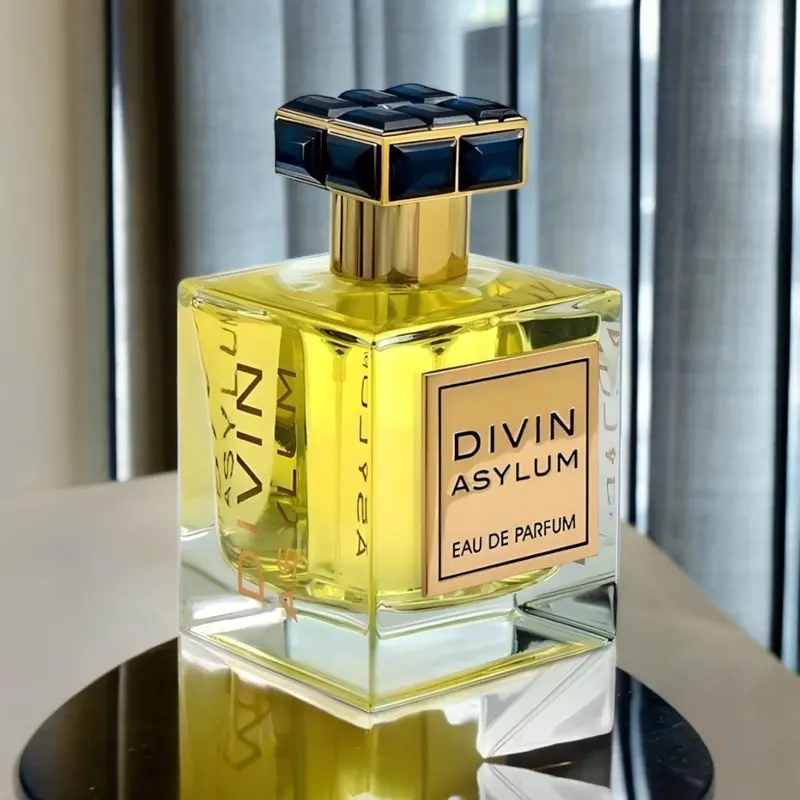 Divin Asylum 100ml EDP by FA Paris (Fragrance World) 1