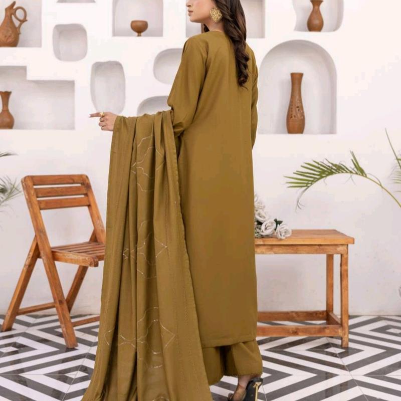 SUFFUSE DHANAK SUITS WITH SHAWLS 1