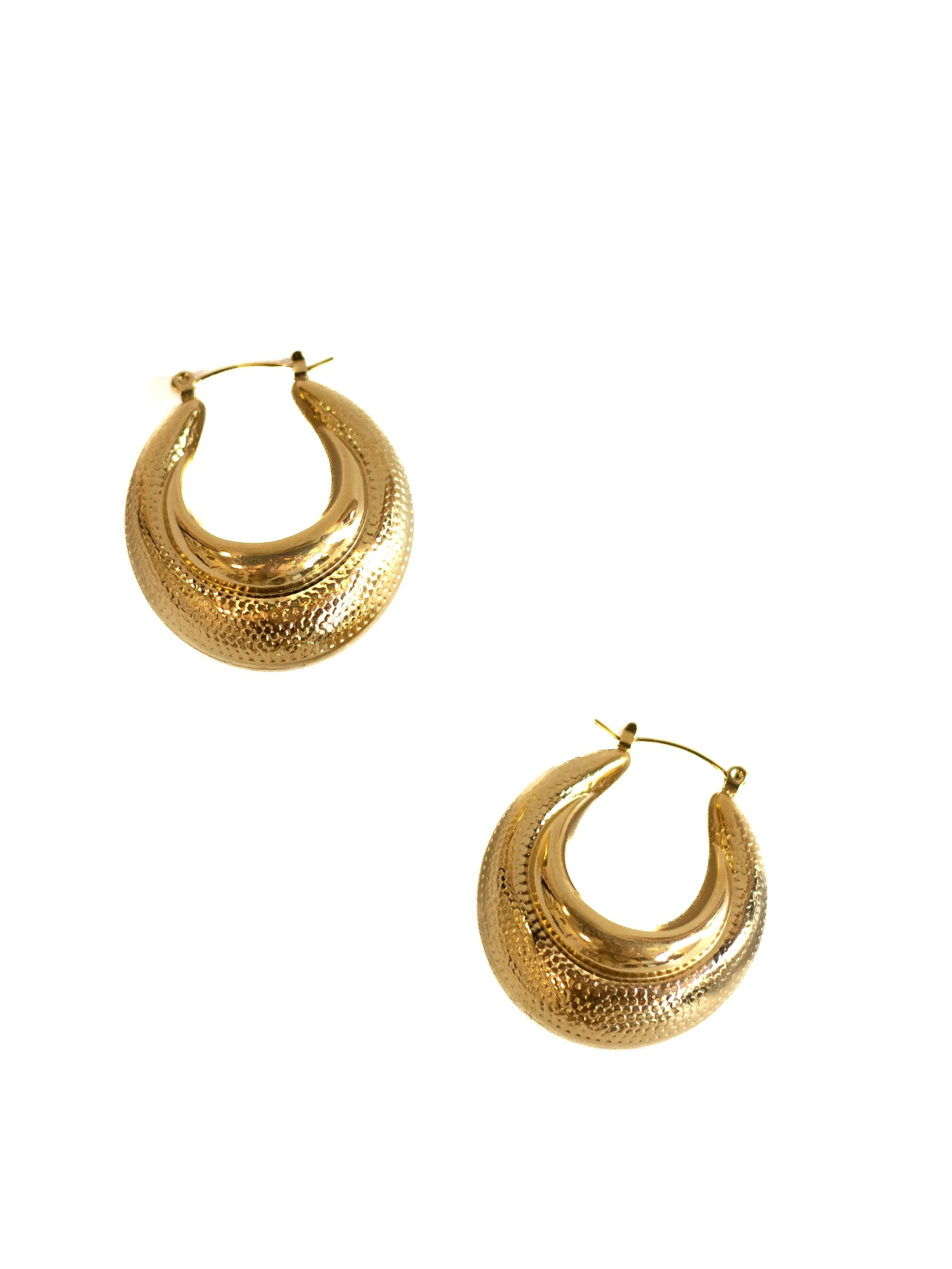 Chunky Shell Hoops