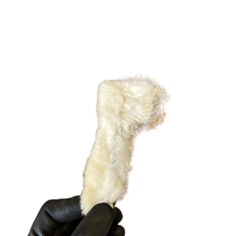 1KG Hairy rabbit feet with hair 5