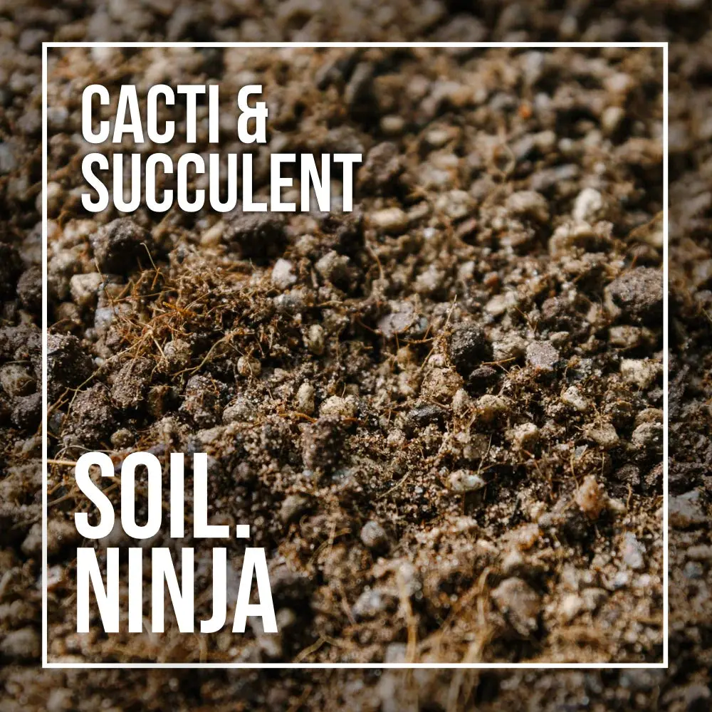 Premium Cacti & Succulent Blend (Super Fast Drying)