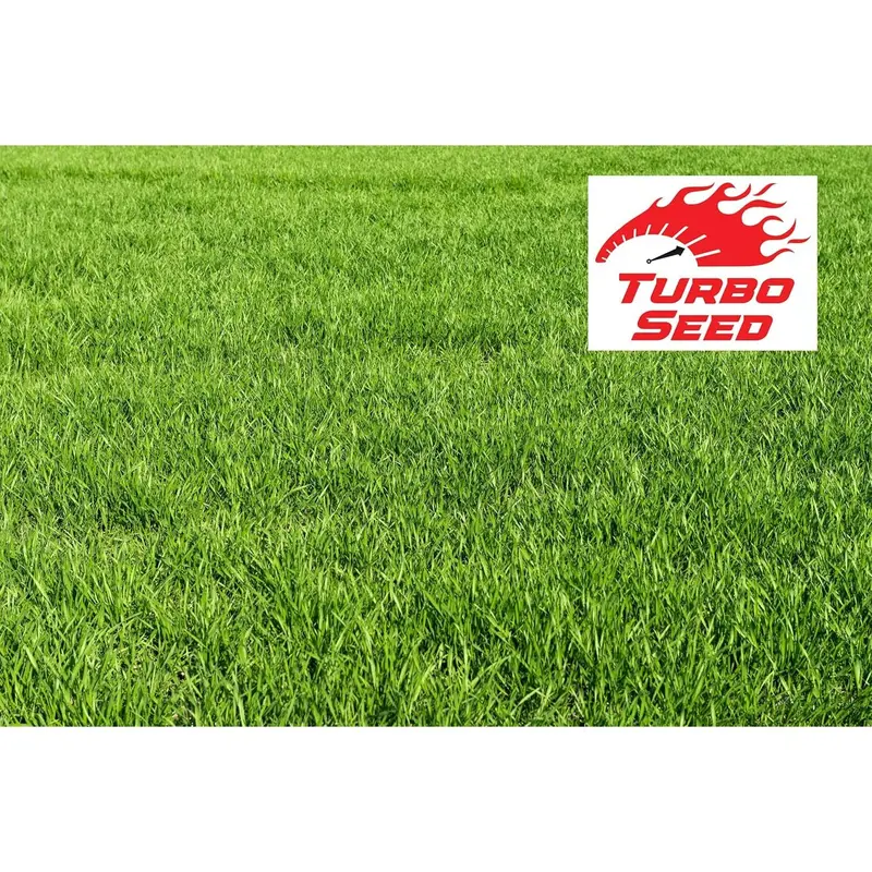Turbo Grass Seed 1.3KG, Fast Growing Lawn Seed, Hard Wearing Grass, Dog Friendly, Can Germinate as Quick as 7 Days, Ideal for Overseeding or New UK Gardens (1.3KG, Upto 78 sqm Coverage) 2