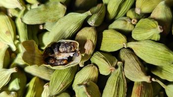 Product Review of Green Cardamom from u**8 0