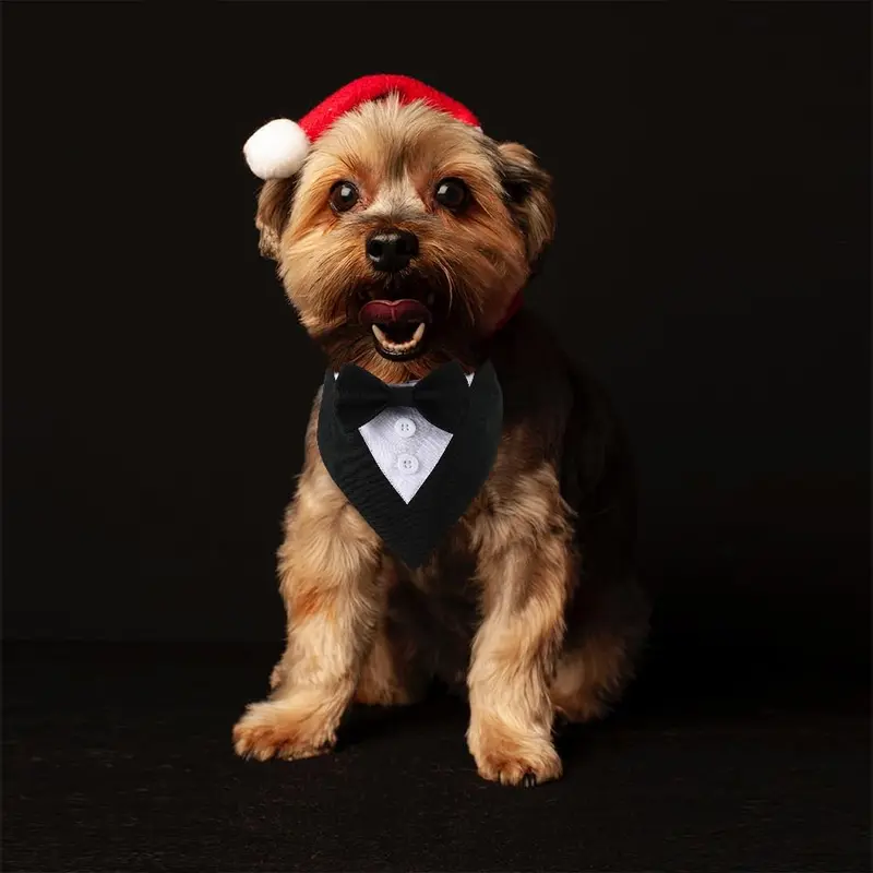 Dog Tuxedo, Formal Dog Wedding Bandana Adjustable Pet Collar with Bow, Small, Medium and Large Dog Wedding Clothing, Birthday Gifts for Dogs 3