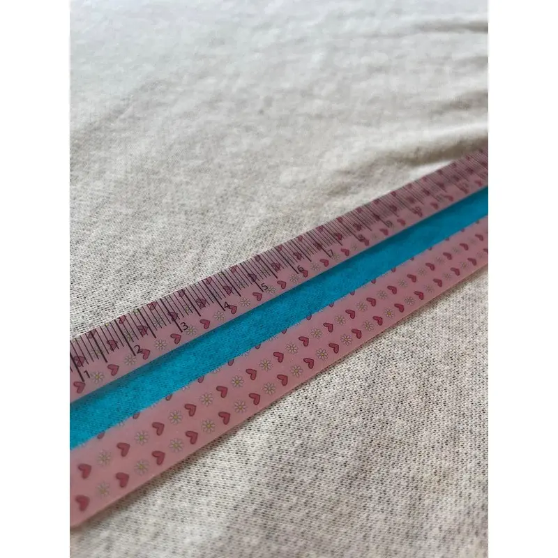 Blue Tinted Reading Ruler 4