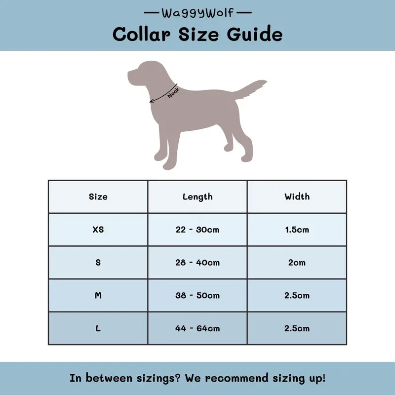 Blue Waves Dog Collar with Neoprene Padding for Extra Comfort 2