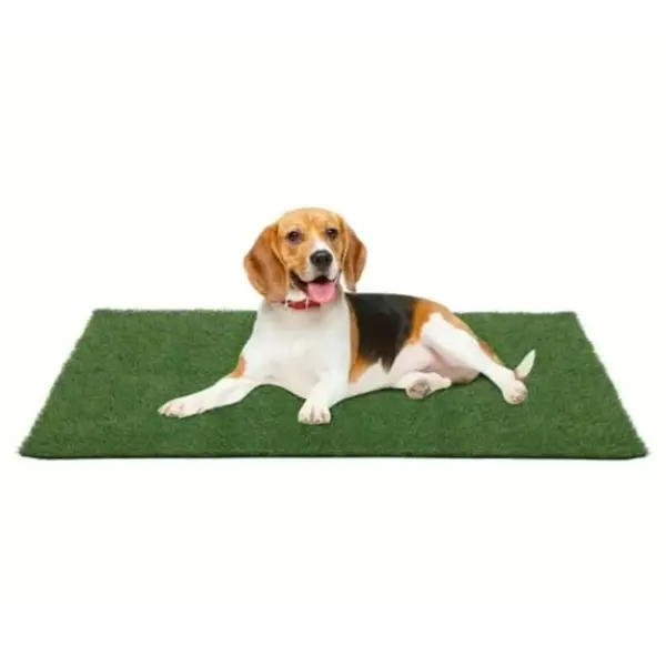 Artificail Grass Mate 200 by 100, 1 Count Simulation Lawn Pad, Outdoor Decorative Grass Carpet, Fake Grass Lawn For Garden Decoration, Home, Office 5